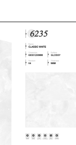 CLASSIC WHITE