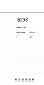PLAIN WHITE