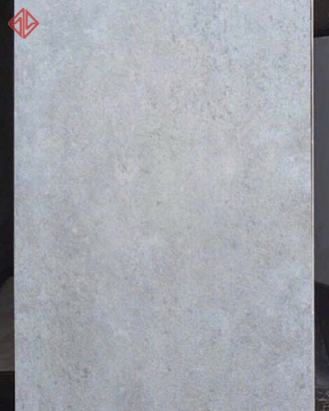  DT 12676N