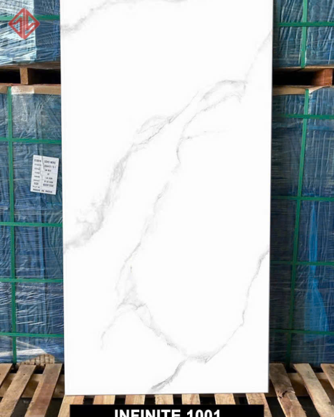 INFINITE 1001